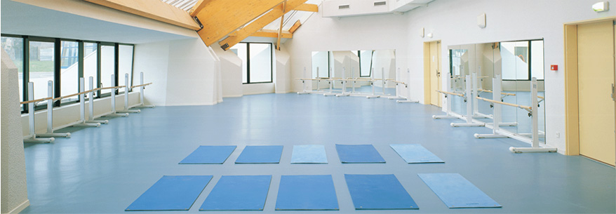 PVC Taraflex Surface